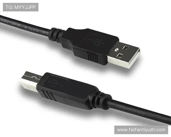 稳定高效的PA视讯登录流程,确保每次登录都顺畅无阻 稳定高效的PA视讯登录流程,确保每次登录都顺畅无阻